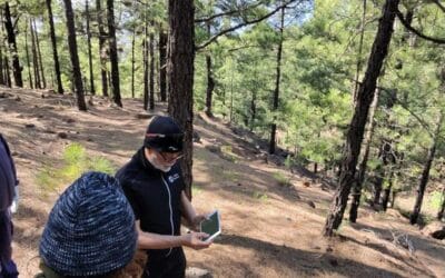 LAGUNTZA INTERNACIONAL +34 EN LA PALMA